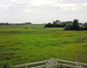 Jardín
