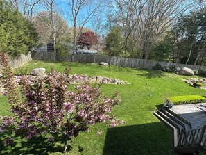 Backyard is fenced in