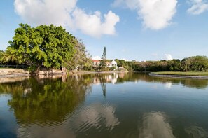 The lake in the golf course behind the house