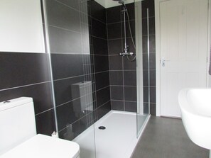 Shower in the main bathroom