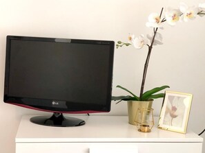Television