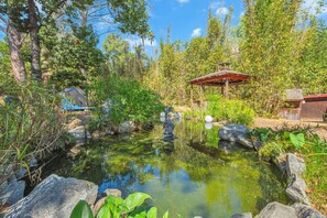 Koi pond in the front yard