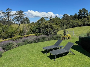High Cliff garden and sunchairs