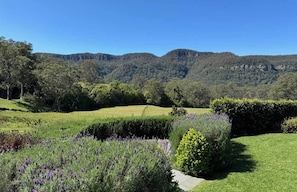 High Cliff gardens