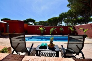 Terrace and pool