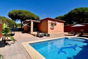 Garden and swimming pool