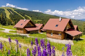 Stugans exteriör [sommar]
