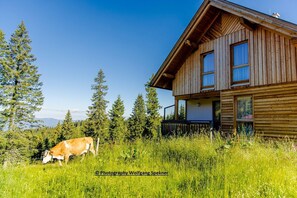 Stugans exteriör [sommar]
