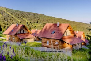 Stugans exteriör [sommar]