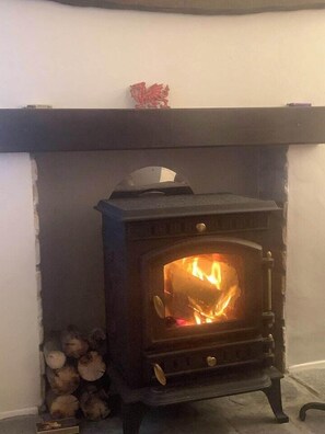 Log Burner