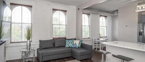 Living Room with Queen Sofa bed