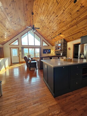 Mountain views from the living room