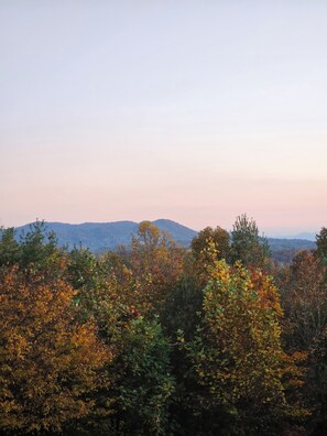 view from the back porch