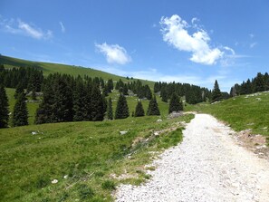 Activities, Autumn, Spring, Summer