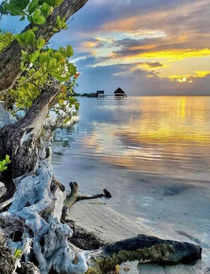 A view from the Beach