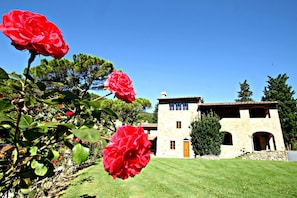 Building Exterior