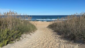 Strand