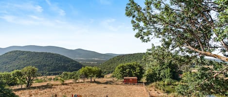 Alberca