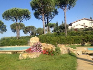 Outdoor, Pool