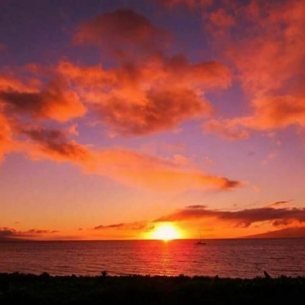 Stunning oceanfront condo with a beautiful view. 