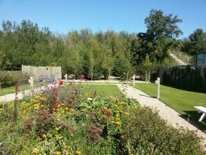 Tuin