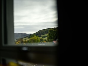 Pflanze, Himmel, Rad, Eigentum, Fahrrad, Pflanzengemeinschaft, Fahrrad-Rad, Gebäude, Tür