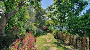 Blume, Grün, Natur, Vegetation, Strauch, Garten, Frühling, Blütenblatt, Botanischer Garten