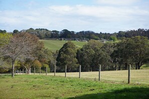 View of Montaltos vineyard from wine spot at front of property