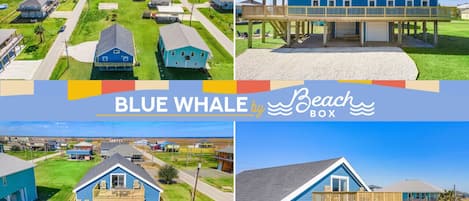 Welcome to Blue Whale by BeachBox