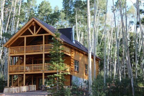 Lodge Backside