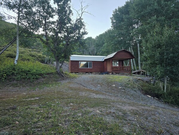 Exteriör