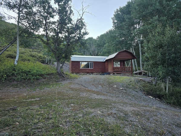 Exteriör