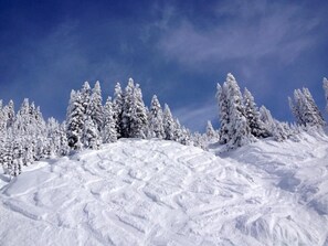 Portes du Soleil - Avoriaz