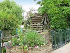 Pflanze, Pflanzengemeinschaft, Blume, Botanik, Natur, Blatt, Zaun, Baum, Vegetation, Gebäude