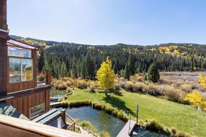 Views from the private balcony in the fall #fall