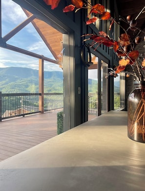View from kitchen table