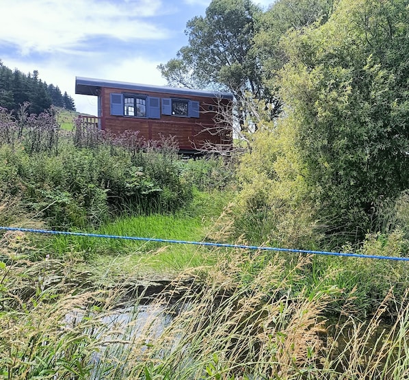 Boendeområde