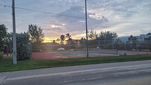 Sport court