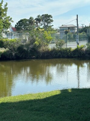Pond next to Tennis Court