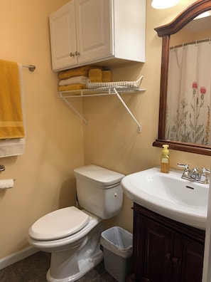 Bathroom with shower stall. Towels are furnished.