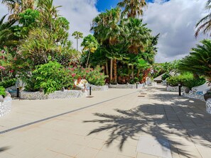 Gehölz, Walkway, Schatten, Freizeit, Urlaub, Tropen, Garten, Landscaping, Auffahrt