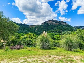 Sky, Plant, Natural Landscape, Natural Environment, Land Lot, Tree, Urban Design, Grass, Plain, Grassland