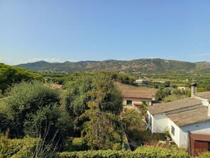 The view