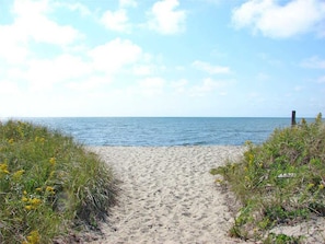 Strand