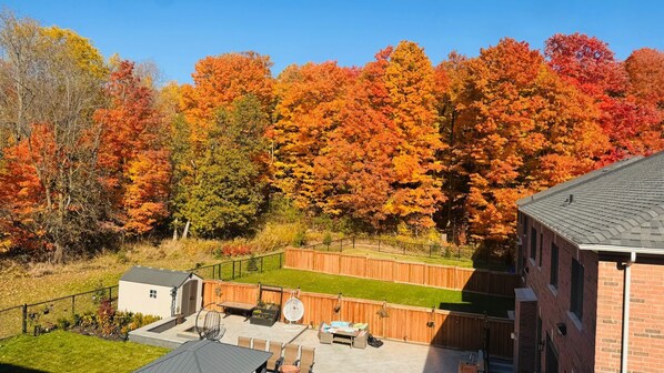 Beautiful Fall view  