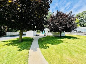 Back yard