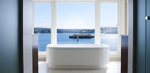 Tub with a view