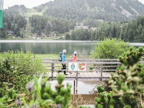 Wasser, Pflanze, Wasservorräte, Berg, Natur, Grün, See, Natürliche Landschaft, Baum, Gewässer