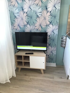 Television
