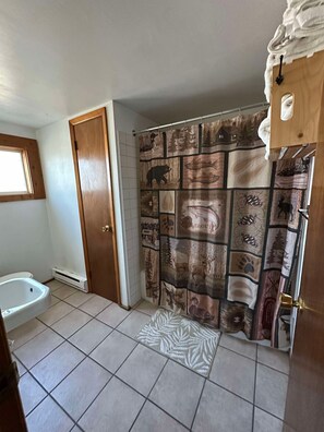 Full Bathroom and Shower